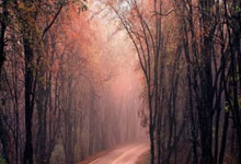 【滔滔两岸潮】台湾医生大陆创业:广州浓厚中医氛围正合我意.