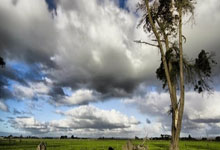 球友会：超80.85亿！《哪吒2》进入全球票房榜前35.