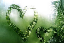 球友会:法媒:巴黎聖日耳曼日本行將帶來近1000萬歐收入.