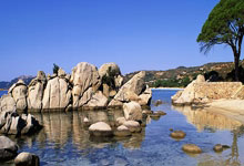 球友会:好主意!归化经纪人:找18岁巴西天才来中国,年薪仅五十万!.